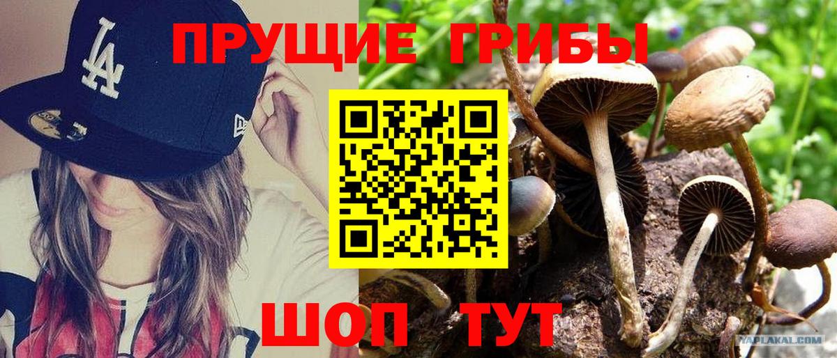 Псилоцибиновые грибы мицелий  Вход с VPN  Баксан 